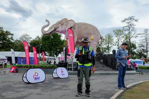 BIB: 
                            <button type="button" onclick="openModal(26528245)" class="btn btn-primary btn-sm float-right btn-popup" data-toggle="modal" data-target=".modal-high-quality">
                        <i class="fas fa-shopping-cart"></i> Add to Cart
                    </button>
                                            <button type="button" onclick="isThisMe(26528245, true)" class="btn btn-success btn-sm float-right btn-popup btn-isme hidden" data-toggle="tooltip" data-placement="bottom" title="นี่คือรูปของคุณใช่ไหม คลิกที่นี่เพื่อเอาเข้าอัลบั้ม">
                        <i class="fas fa-plus"></i> Add to album
                    </button>
                    <button type="button" onclick="isThisMe(26528245, false)" class="btn btn-warning btn-sm float-right btn-popup btn-isnotme hidden">
                        <i class="fas fa-ban"></i> Remove from album
                    </button>